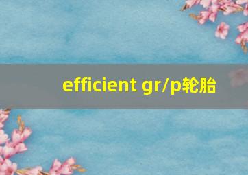 efficient gr/p轮胎